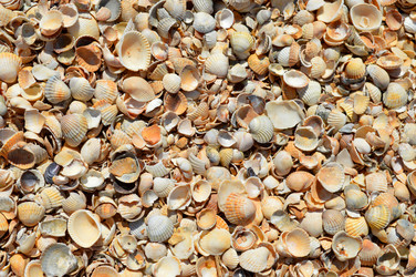 Similar image 21291028