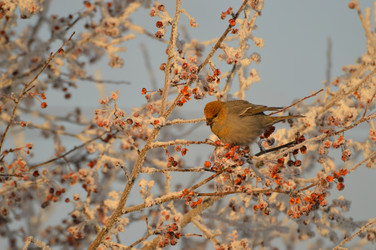 Similar image 21291029