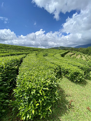 Similar image 21289959