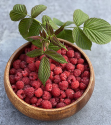 Similar image 21289962