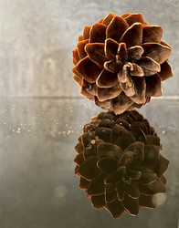 Similar image 21290558