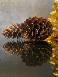 Similar image 21290560