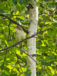 Similar image 21290467