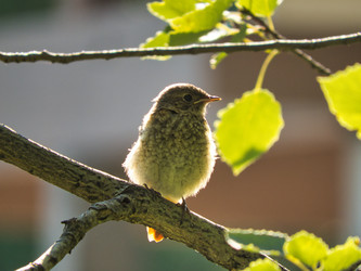 Similar image 21290468