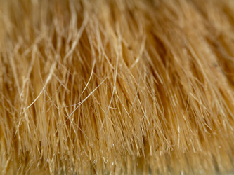 Similar image 21290652