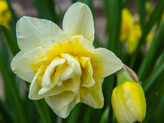 Similar image 21290658