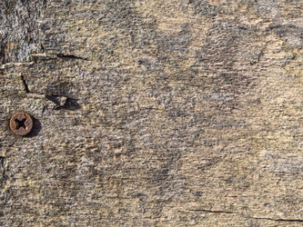 Similar image 21290660