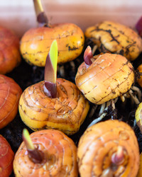 Similar image 21290661