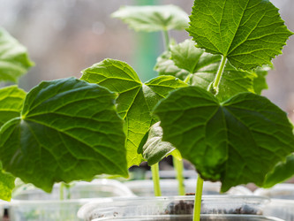 Similar image 21290674