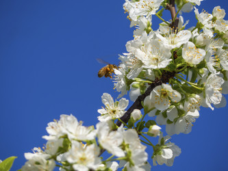 Similar image 21290675