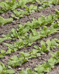 Similar image 21290677