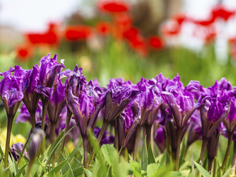 Similar image 21290678