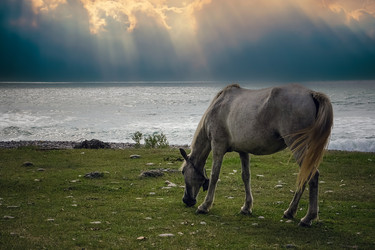 Similar image 21289881