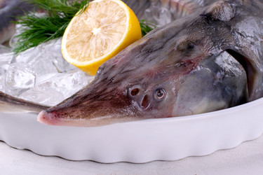 Similar image 21289934