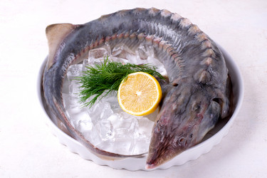 Similar image 21289935