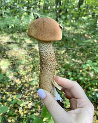 Similar image 21290562