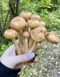 Similar image 21290563