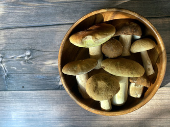 Similar image 21290578