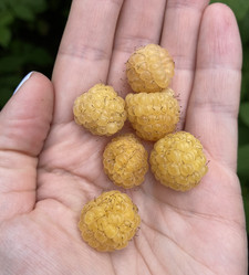 Similar image 21290580