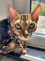 Similar image 21290582