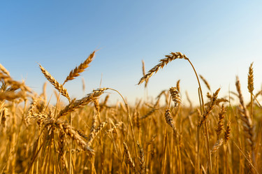 Similar image 21290476