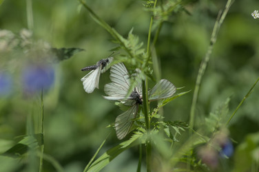 Similar image 21291034