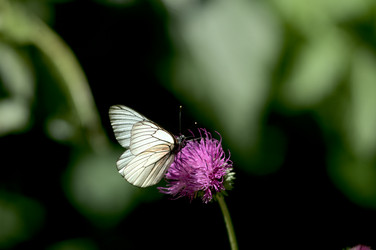 Similar image 21291035