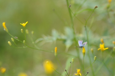 Similar image 21291036