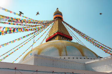 Similar image 21290511