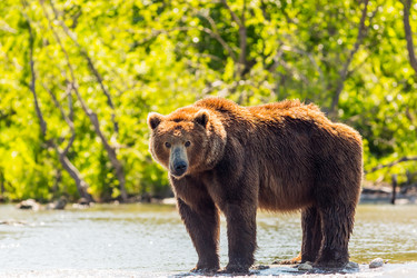 Similar image 21290518