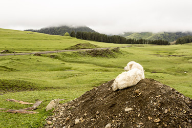 Similar image 21290541