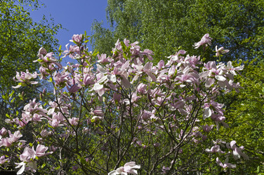 Similar image 21290986