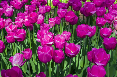 Similar image 21290987