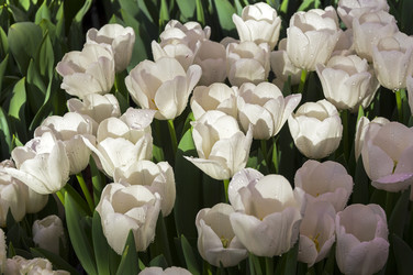 Similar image 21290989