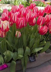 Similar image 21290990