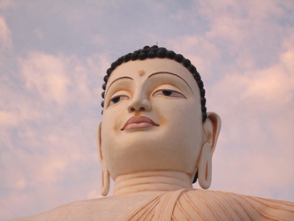 Similar image 21291039