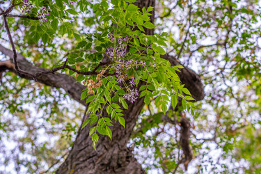 Similar image 21290995