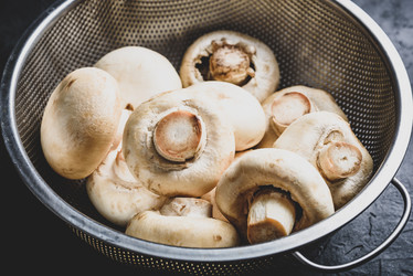 Similar image 21290963