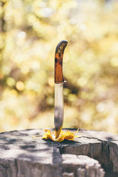 Similar image 21290968