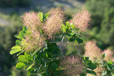 Similar image 21290997