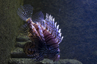 Similar image 21290998