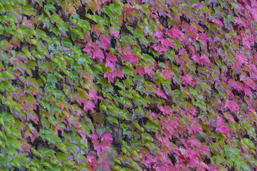 Similar image 21290999