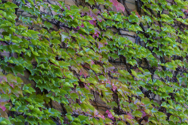 Similar image 21291407