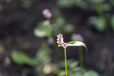 Similar image 21291000