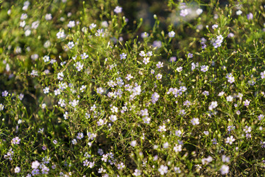 Similar image 21291001