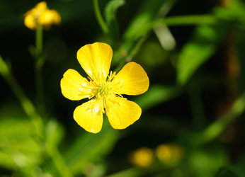 Similar image 21291002