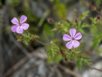 Similar image 21291003