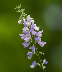 Similar image 21291004