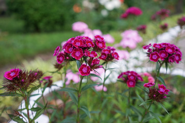 Similar image 21291005