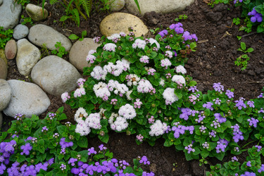 Similar image 21291007